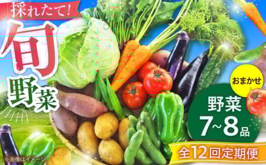 【全12回定期便】【数量限定】旬の 野菜 セット (約3kg/野菜7-8品程度) / 野菜 新鮮 旬 詰合せ セット 熊本県 菊陽町 特産品 【有限会社さんふれあ】 [BHAK026]