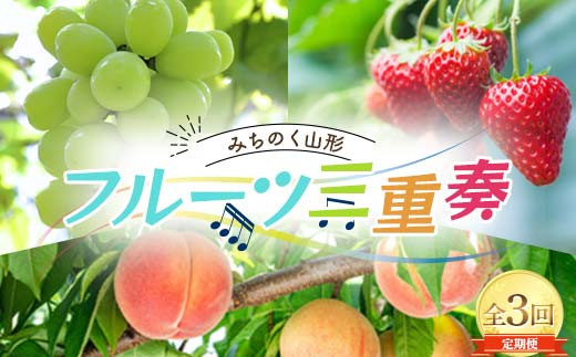 みちのく山形 フルーツ三重奏 〜桃・シャインマスカット・いちご〜 全3回定期便 FSY-2236