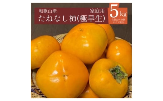 ＜2025年秋発送＞たねなし柿(極早生)22～28個(5kg)和歌山県産フルーツ【1623777】