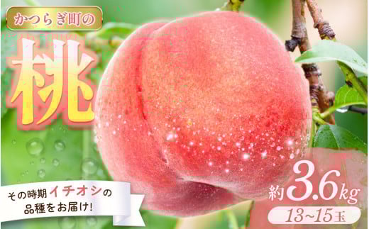 ＜甘い香りと果汁が自慢＞桃 13～15玉 (約3.6kg)【2025年7月上旬～8月上旬頃順次発送】　/ 品種おまかせ もも モモ 桃 デザート フルーツ 果物 くだもの 果実 和歌山県 かつらぎ町 旬  455626 - 和歌山県かつらぎ町