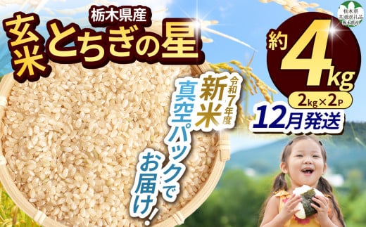 【先行予約】【令和7年度新米】【毎月500個限定！】【栃木県共通返礼品】 栃木県産とちぎの星 2kg×2（玄米真空パック）12月分 | 新米 とちぎの星 玄米 米 ごはん  冷めてもおいしい ふるさと納税 那珂川町 栃木県