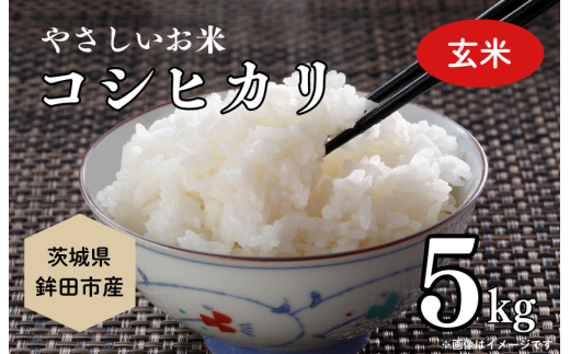 やさしいお米　こしひかり5ｋｇ（玄米）