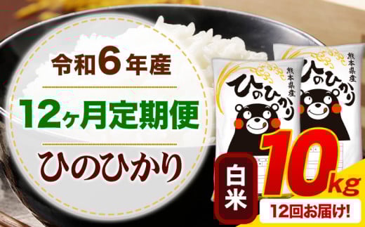 【12ヶ月定期便】令和6年産 白米 ひのひかり 定期便 10kg《お申込み月の翌月から出荷開始》令和6年産 熊本県産 ふるさと納税 精米 ひの 米 こめ ふるさとのうぜい ヒノヒカリ コメ お米
