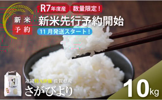 【先行予約受付開始】【数量限定】R7年度産 佐賀ブランド 米「さがびより」10kg(白米)【11月順次発送予定】 大坪精米所 2123553 - 佐賀県小城市