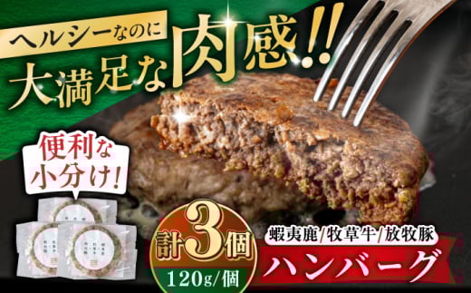 【蝦夷鹿×牧草牛×放牧豚】ハンバーグ 3個 《厚真町》【GOODGOOD株式会社】 ハンバーグ 鹿肉 牛肉 豚肉 小分け 冷凍配送 北海道 [AXBP012] 2123598 - 北海道厚真町