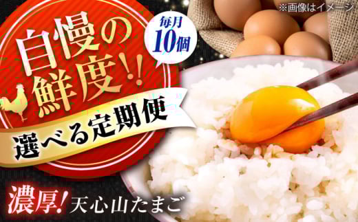天心山　たまご10個　【回数が選べる定期便】卵 たまご 高級 食品 たまごかけご飯 卵かけご飯 卵焼き 生卵 濃厚 ケーキ お菓子 づくり ランキング 上位 人気 おすすめ 定期便　広島県福山市/天心山ファーム [BABW021]