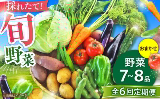【全6回定期便】【数量限定】旬の 野菜 セット (約3kg/野菜7-8品程度) / 野菜 新鮮 旬 詰合せ セット 熊本県 菊陽町 特産品 【有限会社さんふれあ】 [BHAK025]
