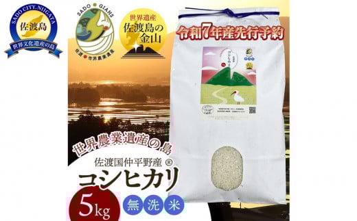 ＜数量限定・生産地域限定＞【先行予約・令和７年産】新潟県佐渡国仲平野産コシヒカリ　精米【無洗米】5kg　 2131509 - 新潟県佐渡市