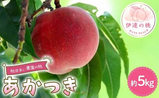 桃井あい農園の桃 あかつき 約5kg（15~20玉）桃 もも モモ 果物 F21C-207