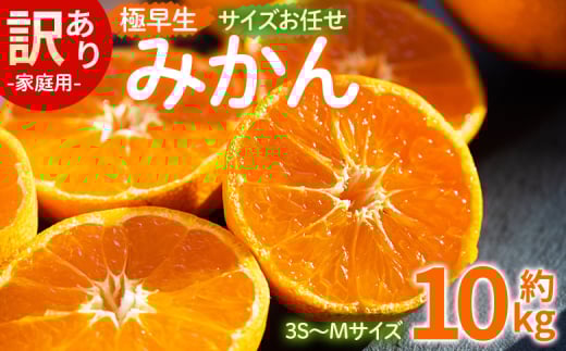 訳あり(家庭用) サイズお任せ 極早生みかん 10kg 3S〜Mサイズ - 訳アリ フルーツ 果物 くだもの 果実 甘い あまい 酸味 蜜柑 ミカン 柑橘 ご自宅用 旬 季節 かなや農園 合同会社Benifare 国産 特産品 高知県 香南市 常温 be-0101
