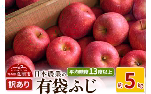 りんご 【先行受付】平均糖度13度以上！ 有袋ふじ 約5kg 訳あり CA貯蔵 クール便 830937 - 青森県弘前市