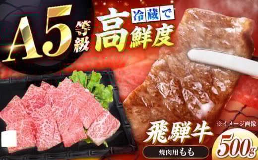 【チルド（冷蔵）発送！】 「飛騨牛」 A5等級 もも 500g / 牛肉 焼肉 鉄板焼き 網焼き BBQ / 恵那市 / 東美濃農業協同組合 [AUFX005]