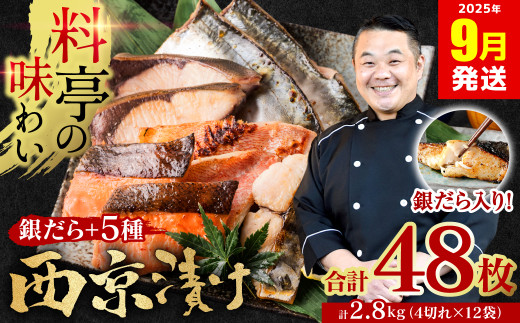 【訳あり】 厳選 鮮魚 西京漬け 2.8kg 銀だら入り たっぷり 48枚 西京焼き 4切れ×12袋 魚 日本料理店 料亭 西京焼き 銀だら 厳選 鮮魚 魚 さかな 冷凍 【2025年9月発送】