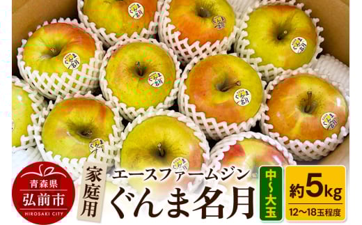 りんご【先行受付】家庭用ぐんま名月 約5kg（中玉～大玉12玉～18玉程度） 685716 - 青森県弘前市