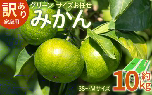 訳あり(家庭用) サイズお任せ グリーンみかん 10kg 3S～Mサイズ - ミカン 蜜柑 柑橘 果実 果物 フルーツ ご自宅用 ジューシー 果汁 フレッシュ 旬 季節 かなや農園 合同会社Benifare 国産 特産品 高知県 香南市 常温 be-0100