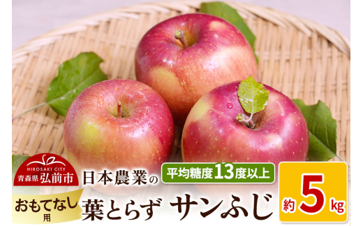 りんご 【先行受付】平均糖度13度以上！ 葉とらずサンふじ 約5kg おもてなし用 685800 - 青森県弘前市