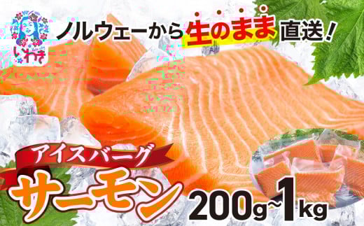 アイスバーグサーモン(アトランティックサーモン) 約200g〜1kg(約200g×1〜5袋) 選べる容量 刺身 フィレ 個包装 冷凍 さけ サケ 生食サーモン 鮭 魚 海鮮 手巻き寿司 海鮮丼 人気 おすすめ ノルウェー産 DK006oya