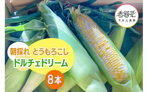 [期間限定] 朝採れ とうもろこし ドルチェドリーム 平安山農園【6月発送】｜旬 新鮮 野菜 トウモロコシ 直送 甘い 高糖度 人気 お取り寄せ 袖ケ浦 房総 千葉 [0393ch]