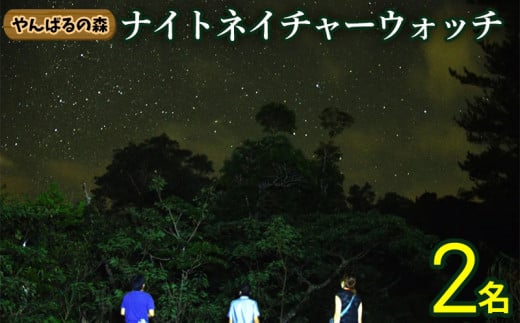 やんばるの森 ナイトネイチャーウォッチ 2名様 やんばる ナイトツアー アドベンチャー 冒険 探検 満天の星空 夜の森 ガイド付き 世界自然遺産 希少生物 やんばる国立公園 亜熱帯 ジャングル 安心 手軽に参加 非日常 特別 ヤンバルエクスペリエンス やんばる観光 東村