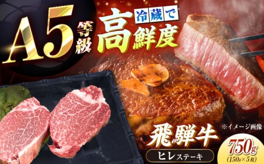 【チルド（冷蔵）発送！】 「飛騨牛」 A5等級 ヒレステーキ 150g×5枚 / 牛肉 焼肉 鉄板焼き 網焼き BBQ/ 恵那市 / 東美濃農業協同組合 [AUFX019]