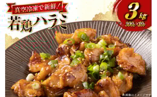 鶏肉 はらみ 宮崎県産 若鶏 ハラミ 300g 10p 計 3kg セット [TRINITY 宮崎県 日向市 452061343] 小分け 真空パック サガリ