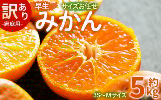 訳あり(家庭用) サイズお任せ 早生みかん 5kg 3S〜Mサイズ - 訳アリ フルーツ 果物 くだもの 果実 甘い あまい 酸味 蜜柑 ミカン 柑橘 ご自宅用 旬 季節 かなや農園 合同会社Benifare 国産 特産品 高知県 香南市 常温 be-0099