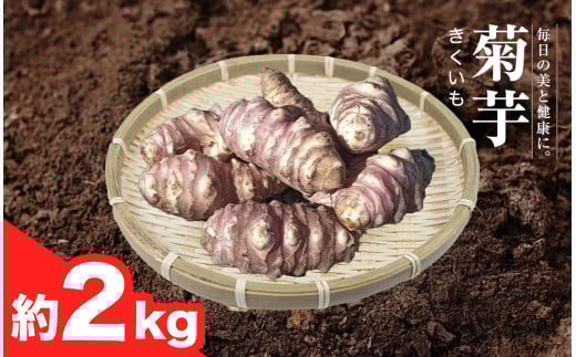 【2025年11月中旬から発送開始】 茨城県桜川市産 菊芋 2kg キクイモ 野菜 やさい 芋 お芋 いも 菊いも 菊イモ きく芋 除草剤・殺虫剤不使用 [DZ004sa]