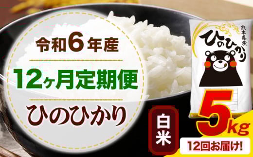 【12ヶ月定期便】令和6年産 白米 ひのひかり 定期便 5kg《お申込み月の翌月から出荷開始》令和6年産 熊本県産 ふるさと納税 精米 ひの 米 こめ ふるさとのうぜい ヒノヒカリ コメ お米