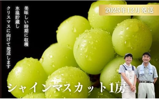 No.2741ぶどう「シャインマスカット」１房 化粧箱入【2025年12月発送】 987010 - 福島県福島市