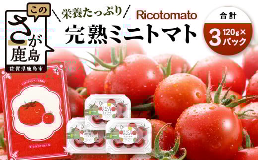 【先行予約】完熟ミニトマト 【少量パック】 120gx3p　たにぐちファーム 完熟ミニトマト 360g とりこになるトマト 野菜 とまと トマト リコピン 佐賀産 佐賀県 鹿島市　A-212