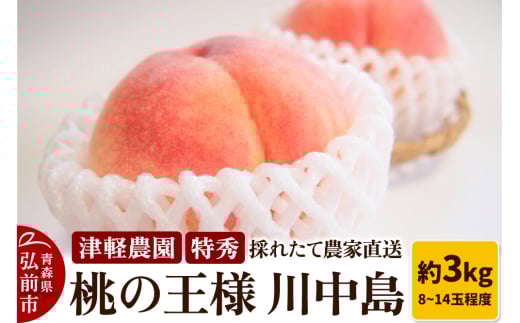 もも【2025年産 桃の王様 川中島】特秀 約3kg 8～14玉程度 ASIAGAP認証農場 津軽農園 採れたて 農家直送 1326581 - 青森県弘前市