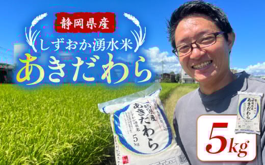 しずおか 湧水 米 あきだわら 5kg 白米 お米 精米 ～一粒一粒が、誰かの想いを運んでくる。～ 2139080 - 静岡県三島市