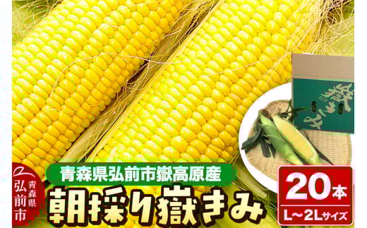 とうもろこし 朝採り嶽きみ 20本（L～２Lサイズ）【弘前市嶽高原産・とうもろこし 野菜 】 893843 - 青森県弘前市
