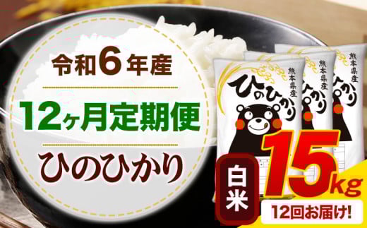 【12ヶ月定期便】令和6年産 白米 ひのひかり 定期便 15kg《お申込み月の翌月から出荷開始》令和6年産 熊本県産 ふるさと納税 精米 ひの 米 こめ ふるさとのうぜい ヒノヒカリ コメ お米