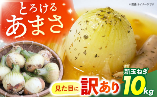 訳あり 新玉ねぎ 10kg  【あかるい農園 ミッチ―】 不揃い たまねぎ [HDF001]