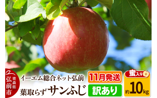 【25年11月発送】りんご【訳あり】葉取らず サンふじ 約10kg 糖度 13度以上【蜜入り】EMりんご 893753 - 青森県弘前市