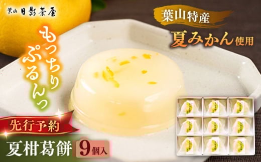 【お中元対象】葉山日影茶屋　夏柑葛餅 9個入 / 葛餅 くずもち 和菓子 おやつ スイーツ 夏みかん 夏蜜柑 お菓子 贈り物 ギフト 柑橘 神奈川県 葉山町【(株)日影茶屋】 [ASAX027] 2132168 - 神奈川県葉山町