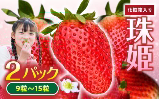 【2026年1月～3月上旬発送】化粧箱入りいちご【珠姫】 酸味が少なくやさしい甘み 珠姫 いちご 2パック 9~15粒 化粧箱 卵型 粒が大きい 生駒いちご園 果物 フルーツ デザート 贈り物 お取り寄せ お取り寄せフルーツ 奈良県 生駒市 送料無料 252466 - 奈良県生駒市