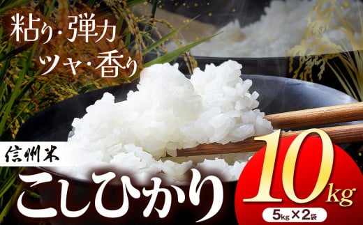 新米 令和7年産 信州米 こしひかり 白米 10kg 長野県産(5kg×2袋)│信州 松本市 米 お米 コシヒカリ ふるさと納税 長野県産 松本市 こしひかり 白米 2296520 - 長野県松本市