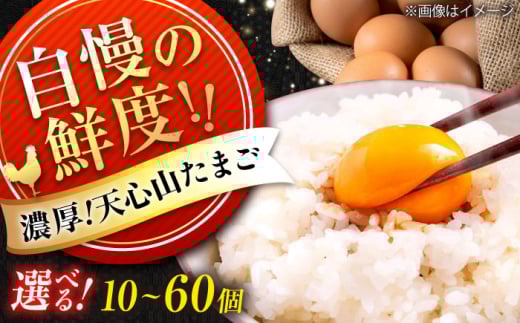天心山 たまご　【選べる個数】 広島県福山市/天心山ファーム　卵 たまご 高級 食品 たまごかけご飯 卵かけご飯 卵焼き 生卵 濃厚 ケーキ お菓子 づくり ランキング 上位 人気 おすすめ [BABW011]