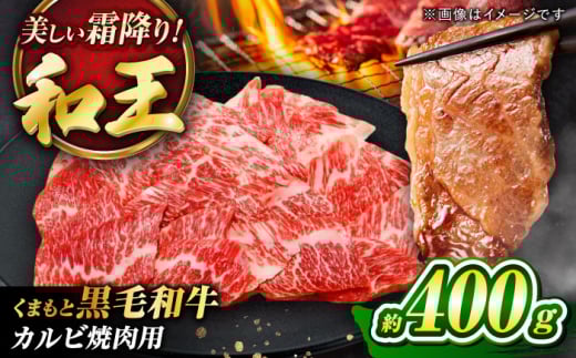 くまもと黒毛和牛 「和王」 カルビ焼肉用 約400g (400g×1パック) / 牛肉 和王 黒毛和牛 肉 カルビ かるび 希少部位 熊本県 菊陽町[菊池地域農業協同組合] [BHBQ002]