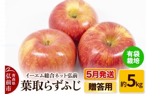 りんご【5月発送】 贈答用 葉取らず ふじ 約5kg（有袋栽培・CA貯蔵）EMりんご 684674 - 青森県弘前市