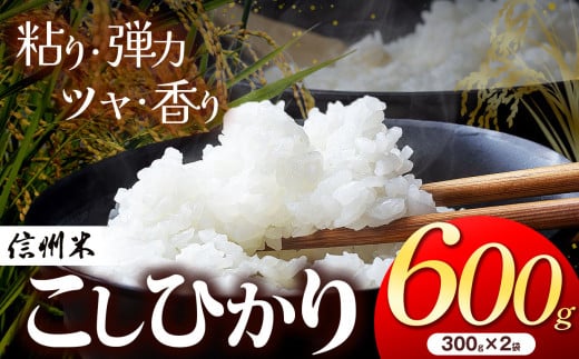 信州松本産 こしひかり 白米 600g （2合300g×2袋 )   │信州 松本市 米 お米 コシヒカリ こしひかり アルプス 国産米 長野県産 おすすめ 白米 ふっくら 田畑 農家 ふるさと納税 松本市 美味しい 2140254 - 長野県松本市