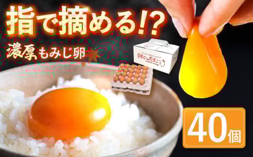 平飼い もみじ の 高級 たまご 40個 ※12月発送なし【野中鶏卵】 [OAC013]