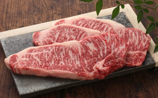 【お中元対象】【数量限定】【GI認証】くまもとあか牛サーロインステーキ 約200g×3枚 【有限会社 三協畜産】 [AYCQ023] 2131857 - 熊本県合志市