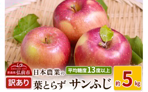 りんご 【先行受付】平均糖度13度以上！ 葉とらずサンふじ 約5kg 訳あり 1129251 - 青森県弘前市