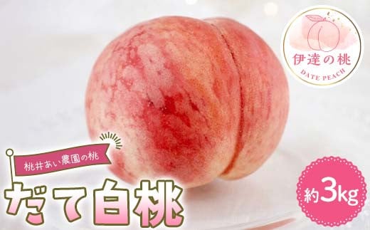 桃井あい農園の桃 だて白桃 約3kg（8~10玉）桃 もも モモ 果物 F21C-212