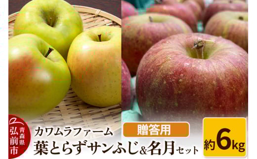りんご【先行受付】葉とらず サンふじ & 名月 セット 約6kg カワムラファーム 贈答用 1492934 - 青森県弘前市
