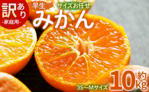訳あり(家庭用) サイズお任せ 早生みかん 10kg 3S〜Mサイズ - 訳アリ フルーツ 果物 くだもの 果実 甘い あまい 酸味 蜜柑 ミカン 柑橘 ご自宅用 旬 季節 かなや農園 合同会社Benifare 国産 特産品 高知県 香南市 常温 be-0102