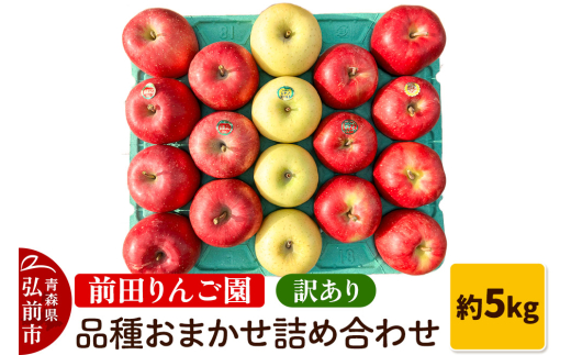 りんご【先行受付】訳あり りんご 品種おまかせ詰め合わせ 約 5kg (16～20玉程度)  前田りんご園 1558512 - 青森県弘前市